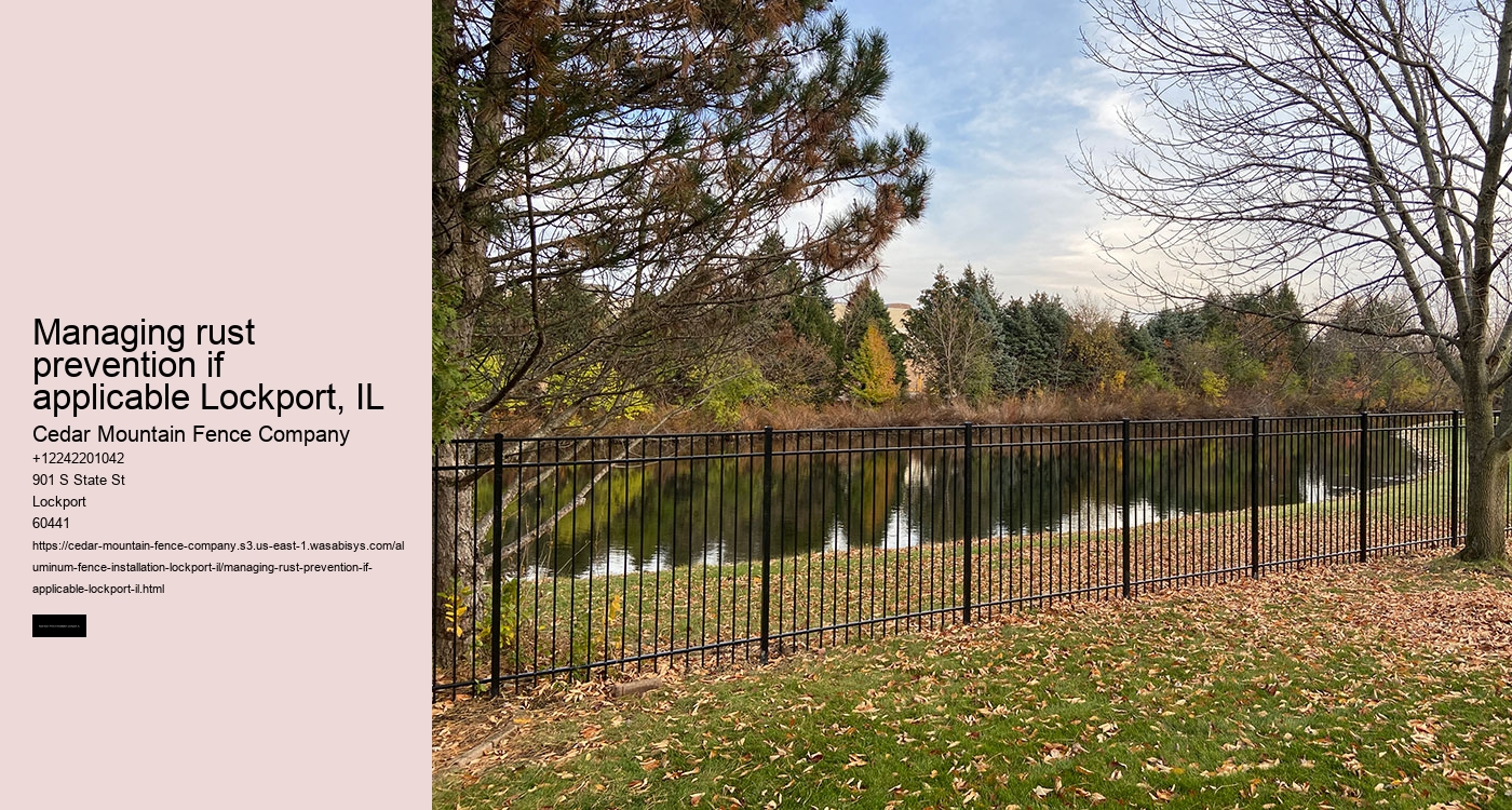 Managing rust prevention if applicable Lockport, IL