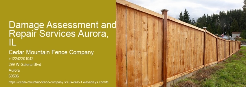 Damage Assessment and Repair Services Aurora, IL